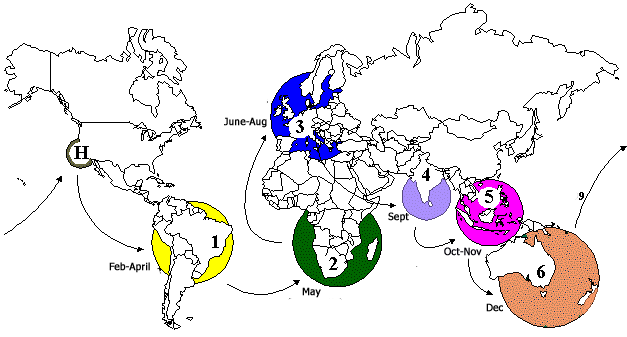 Click on Colored Continents to Get Details